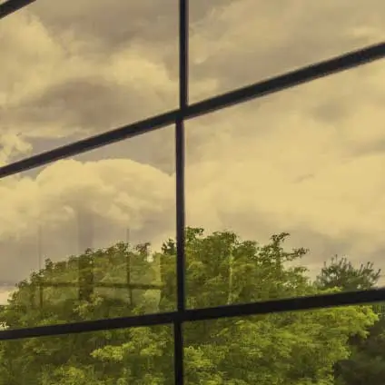View through WeatherMaster™ Windows featuring a smoke bronze tint, adding a warm, sophisticated hue while looking out at lush green trees and a cloudy sky