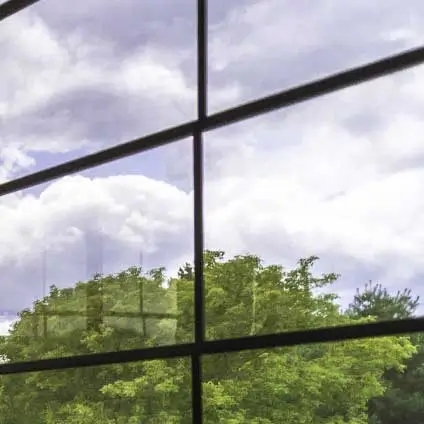 View through WeatherMaster™ Windows featuring a clear tint, showcasing lush green trees and a cloudy sky