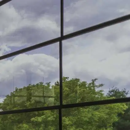 View through WeatherMaster™ Windows featuring a smoke gray tint, reducing glare while looking out at lush green trees and a cloudy sky